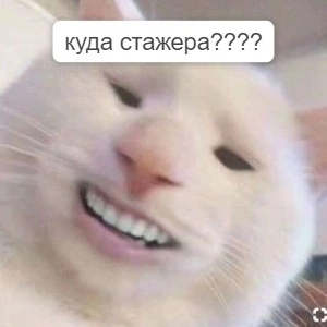 То чувство, когда HR после 18.00 очень хочет домой, но надо деликатно узнать обратную связь по стажерам у руководителя😸 | Сетка — социальная сеть от hh.ru