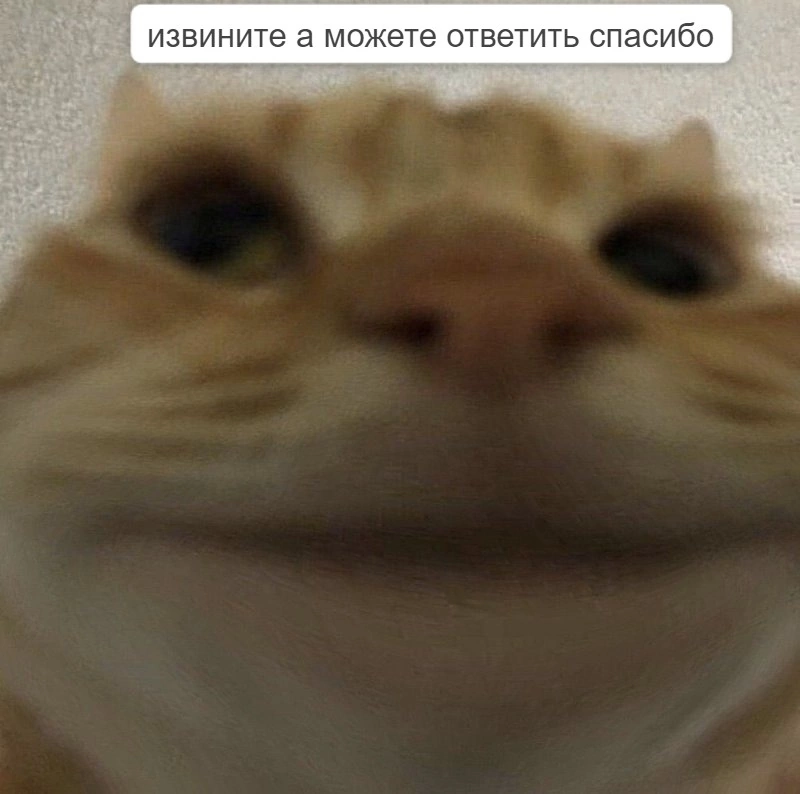 То чувство, когда HR после 18.00 очень хочет домой, но надо деликатно узнать обратную связь по стажерам у руководителя😸 | Сетка — социальная сеть от hh.ru