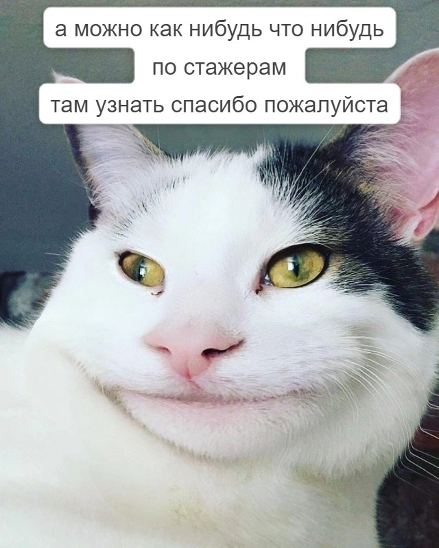 То чувство, когда HR после 18.00 очень хочет домой, но надо деликатно узнать обратную связь по стажерам у руководителя😸 | Сетка — социальная сеть от hh.ru