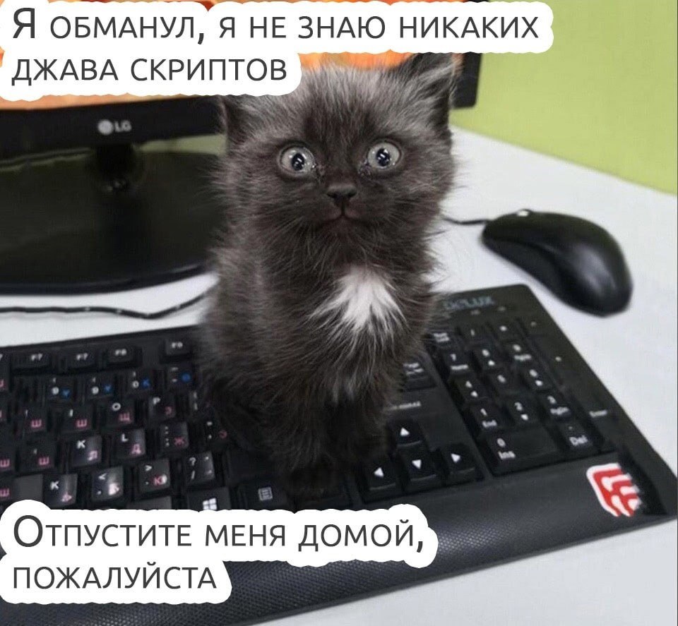 Сетка — социальная сеть от hh.ru