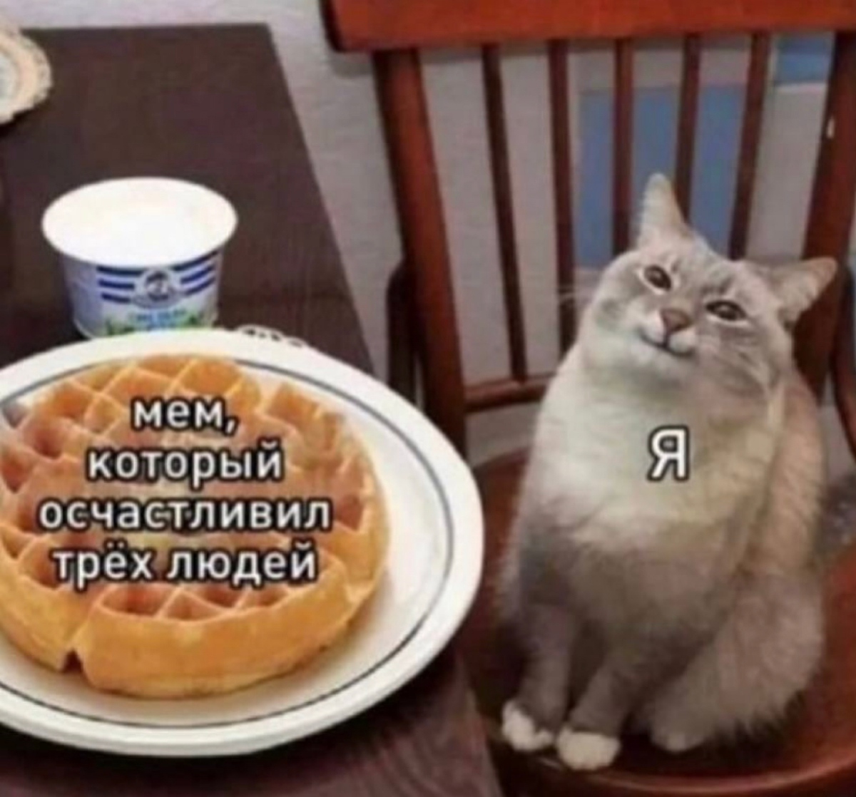 Сетка — социальная сеть от hh.ru