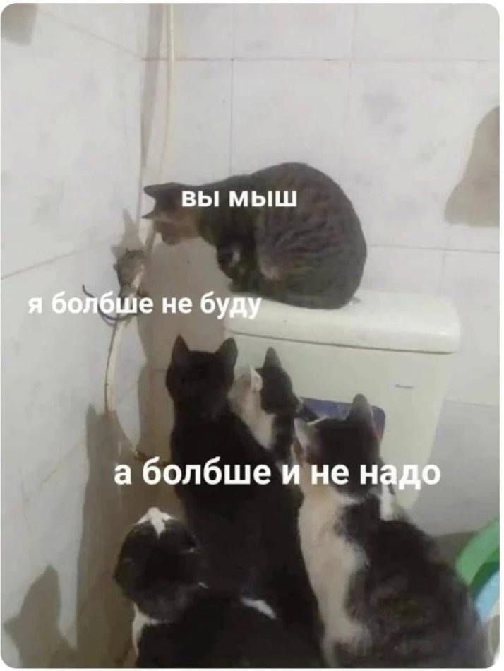 Когда коллега прислал много замечаний после ревью | Сетка — социальная сеть от hh.ru