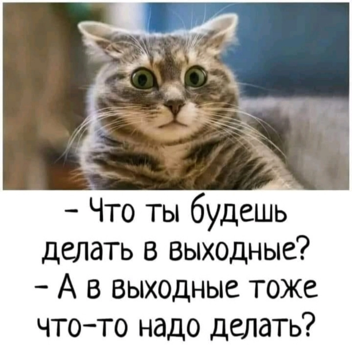 А чем вы занимаетесь по выходным, когда не надо никуда бежать?
#мемы, #выходные | Сетка — социальная сеть от hh.ru