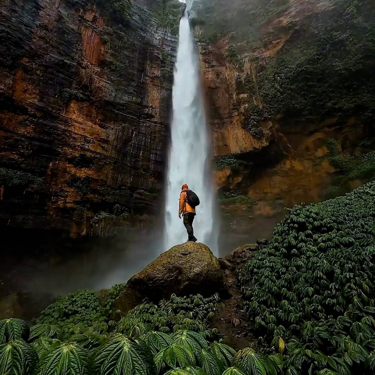 Mihail Leonidovich | Сетка — социальная сеть от hh.ru