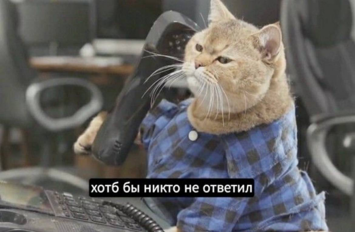 Мои мысли перед всеми собесами в моей жизни, как я не люблю созвоны🫠 | Сетка — социальная сеть от hh.ru