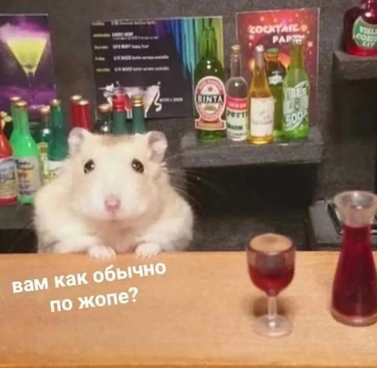 жизнь когда-то занесла меня в дизайн, а я и не против 💫
всем привет! в сетку пришла наблюдать, учиться и общаться
меня зовут Настя, пока что обитаю в Ростове-на-Дону
работаю UI/UX-дизайнером, но есть ... | Сетка — социальная сеть от hh.ru