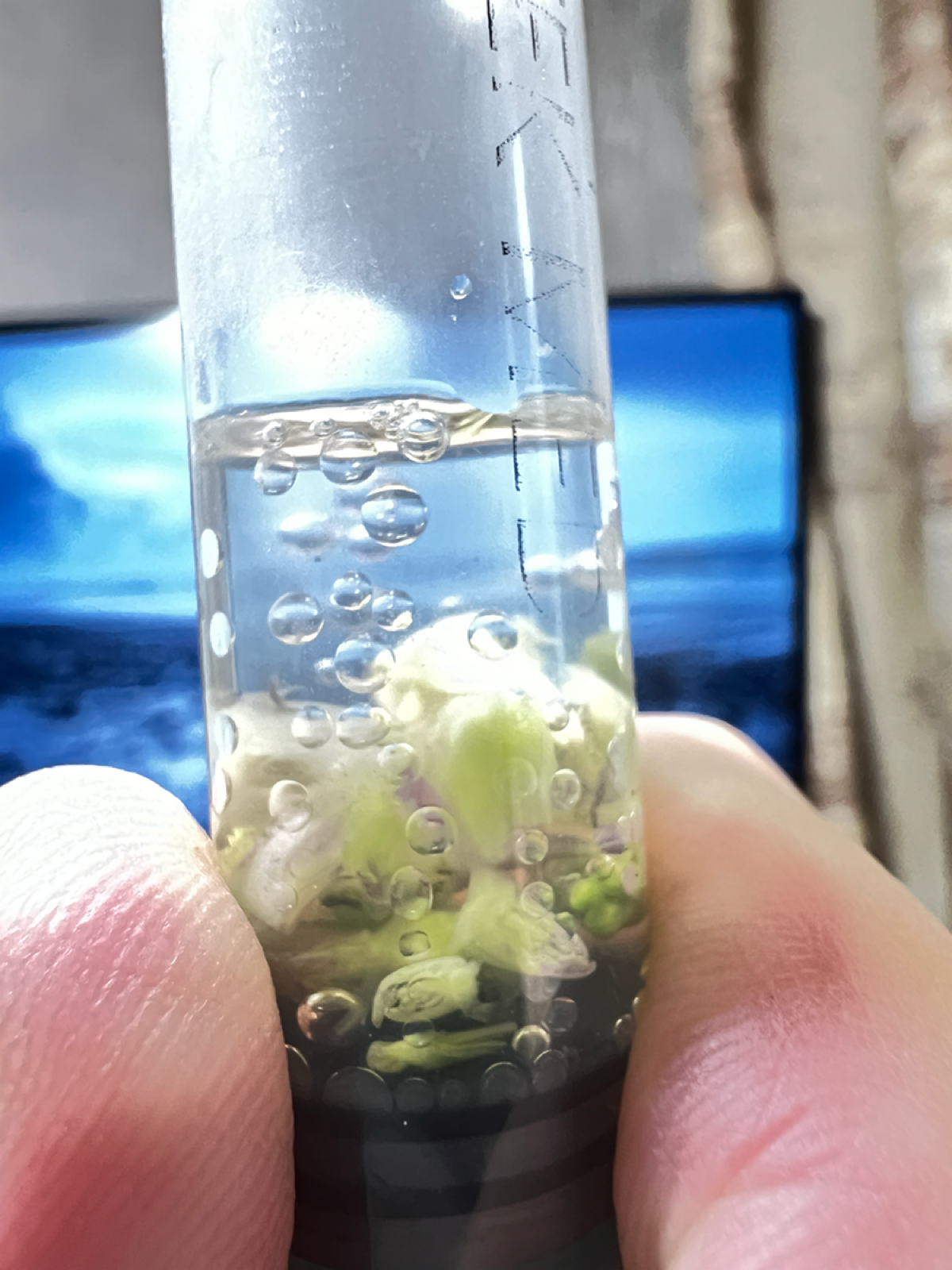 Вакуумная инфильтрация | Сетка — социальная сеть от hh.ru