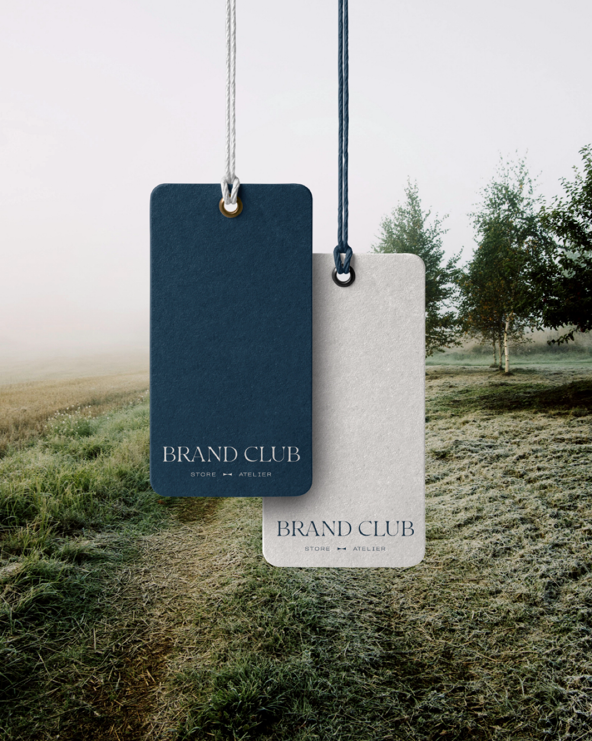 Немного о том что я делаю:) минутка рекламы  
Проект: «Brand-Club» — ателье и магазин мужской одежды и аксессуаров.  
Недавно я взялась за #ребрендинг этого классного бренда | Сетка — социальная сеть от hh.ru