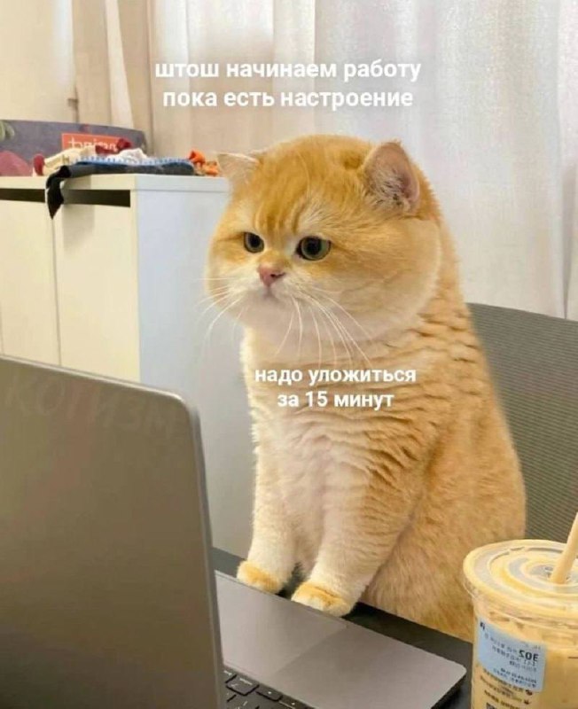 Доброе утро, зимнее в Москве ☃️
15 минут хватит на выполнение задач? Не уверен 😂
У кого насколько хватает настроение и задора работать на короткой неделе? | Сетка — социальная сеть от hh.ru