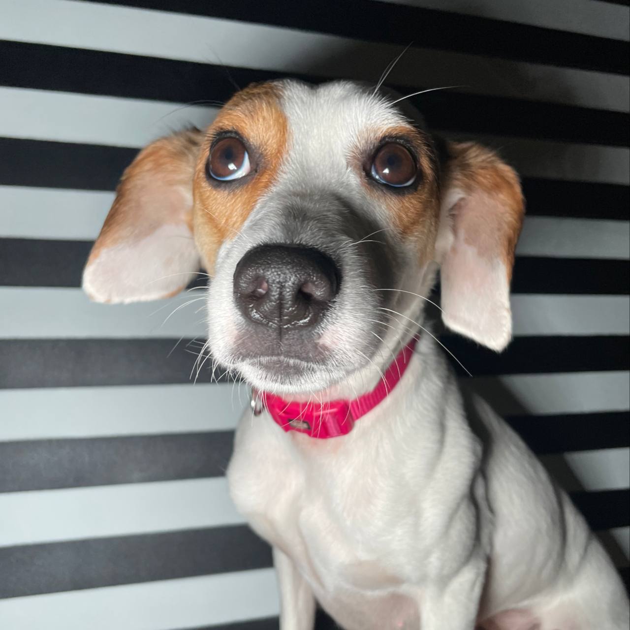 Важные новости, Вологодская общественность обеспокоена | Сетка — социальная сеть от hh.ru