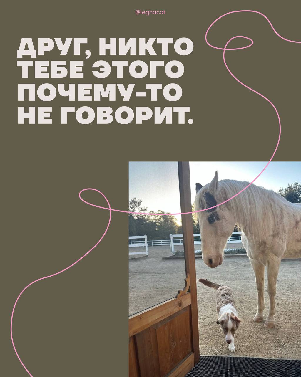 🌟тебе этого почему-то никогда не говорит, хотя если ты осознаешь это — жить станет легче | Сетка — социальная сеть от hh.ru
