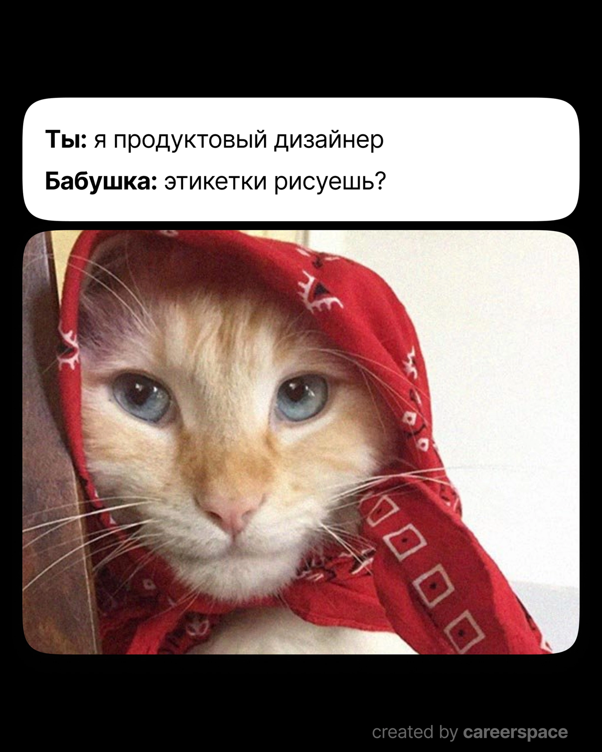 По моей скромной выборке в сетке в популярных мемах должен быть кот) | Сетка — социальная сеть от hh.ru