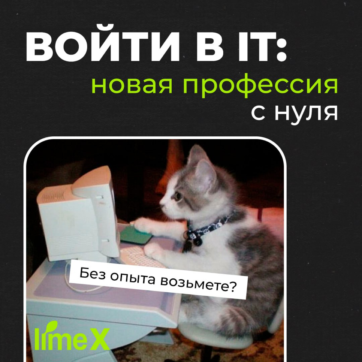 Как войти в IT? | Сетка — социальная сеть от hh.ru