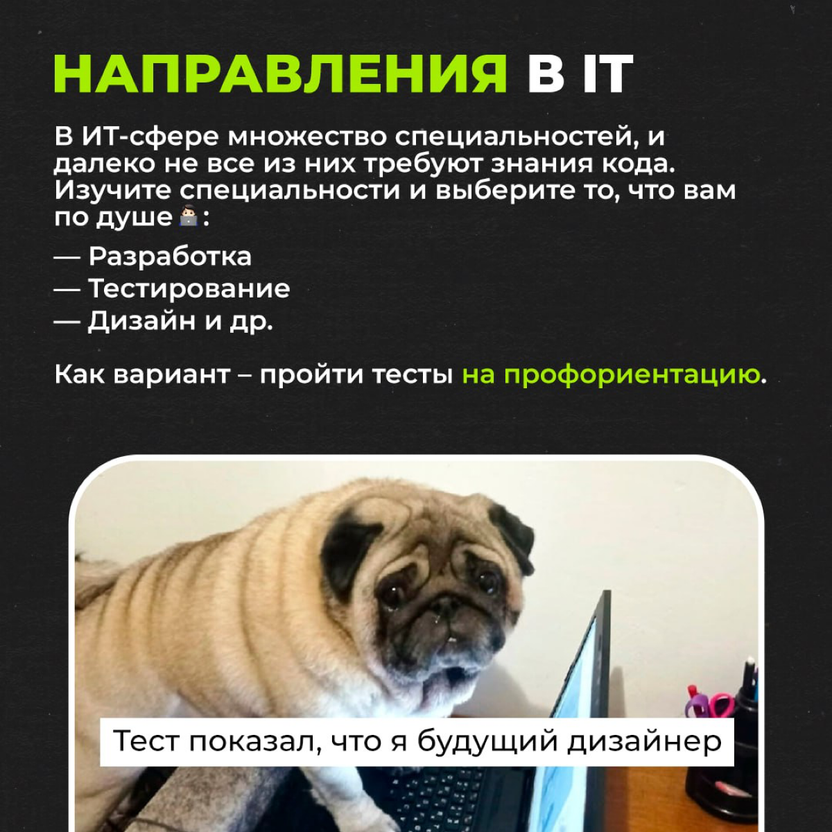 Как войти в IT? | Сетка — социальная сеть от hh.ru