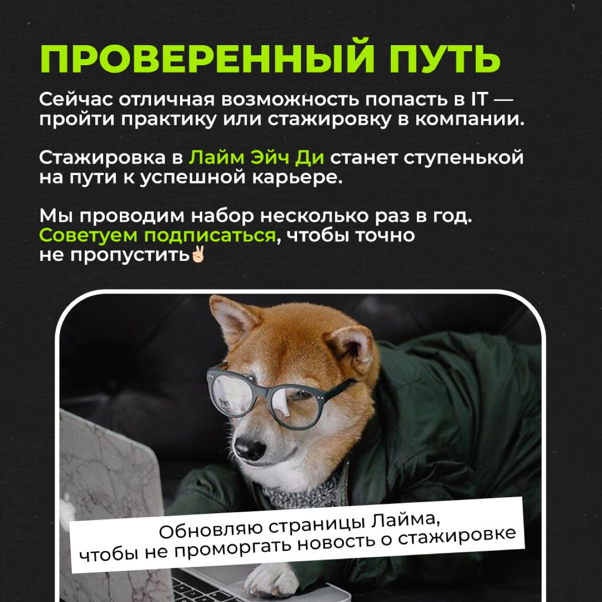Как войти в IT? | Сетка — социальная сеть от hh.ru