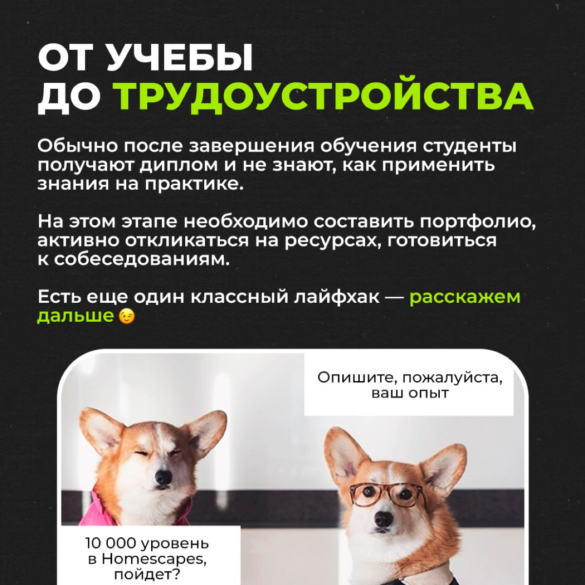 Как войти в IT? | Сетка — социальная сеть от hh.ru