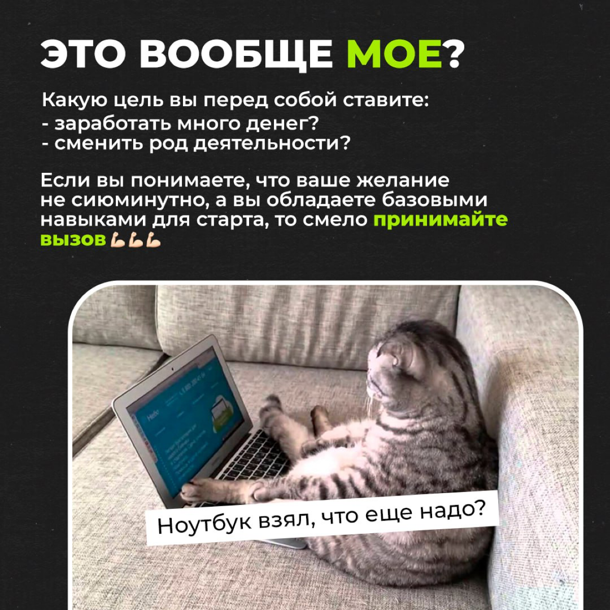 Как войти в IT? | Сетка — социальная сеть от hh.ru