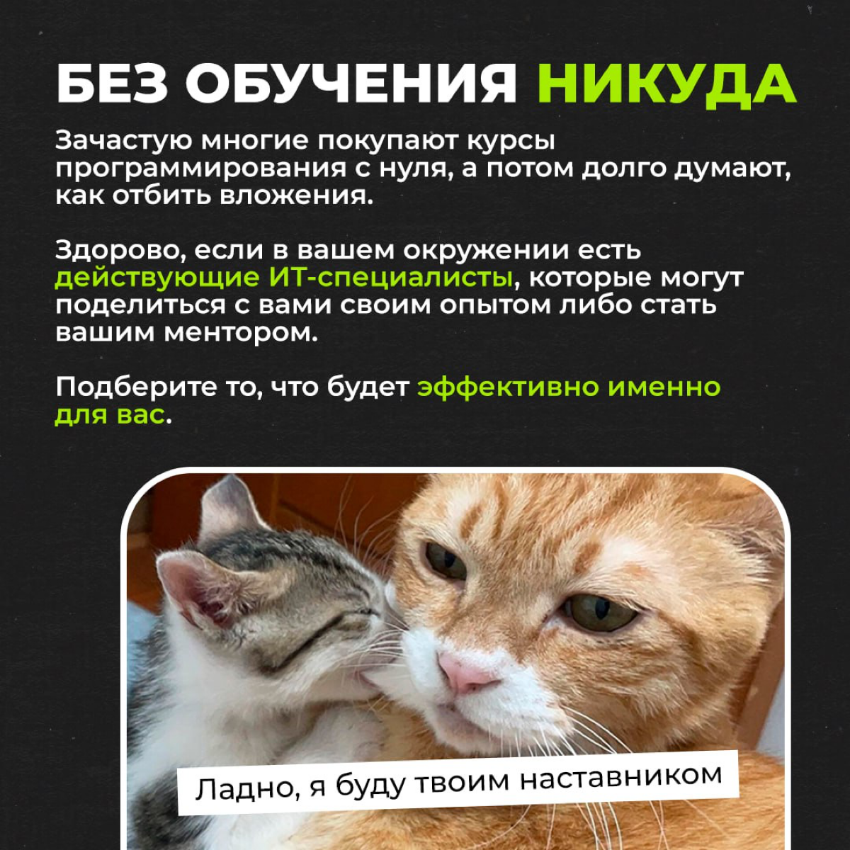 Как войти в IT? | Сетка — социальная сеть от hh.ru