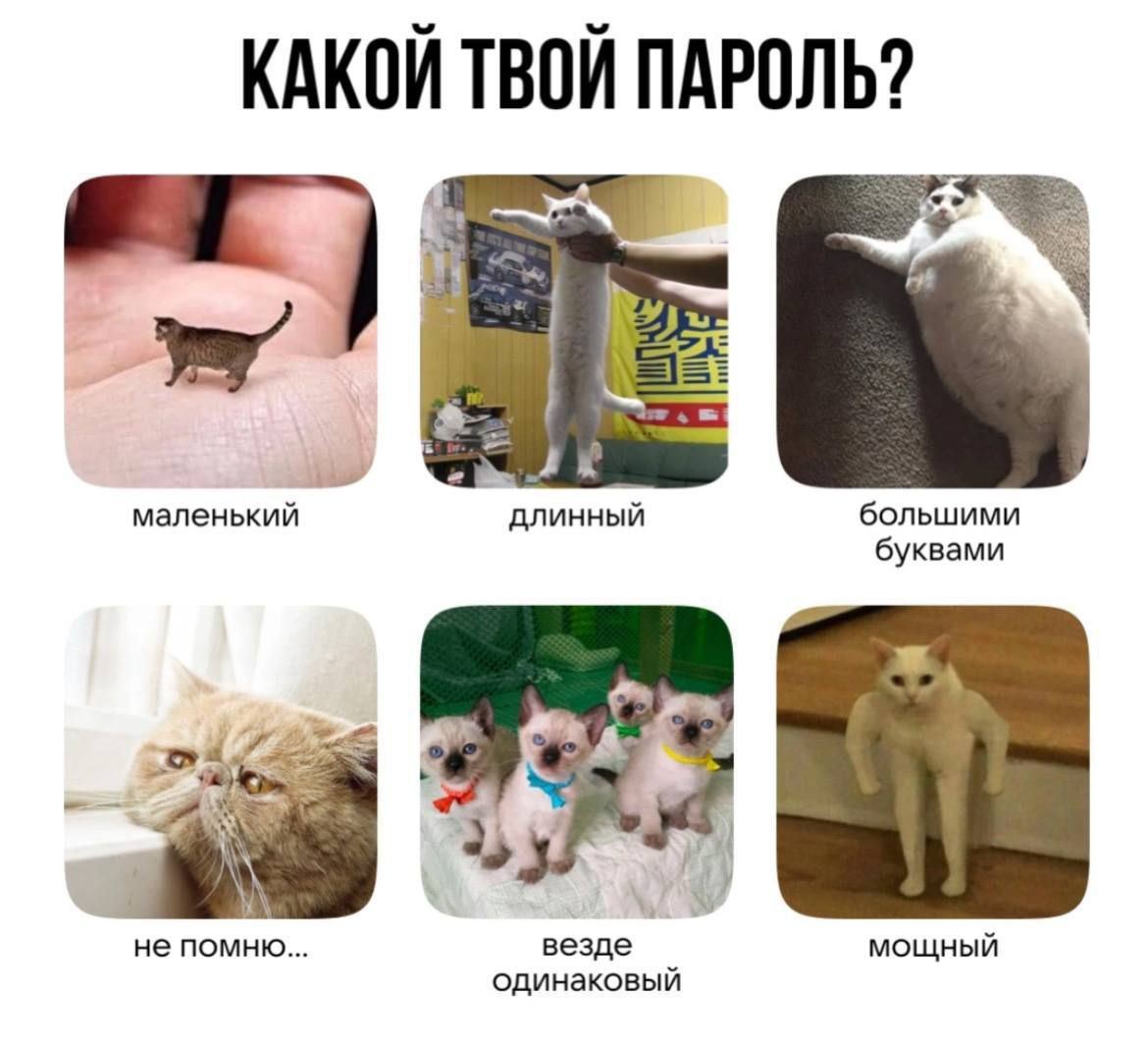 Сетка — социальная сеть от hh.ru