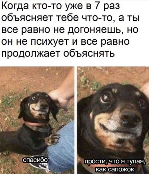 Стартуем канал с классического мема, когда тебе дают новую задачу 🫎 | Сетка — социальная сеть от hh.ru