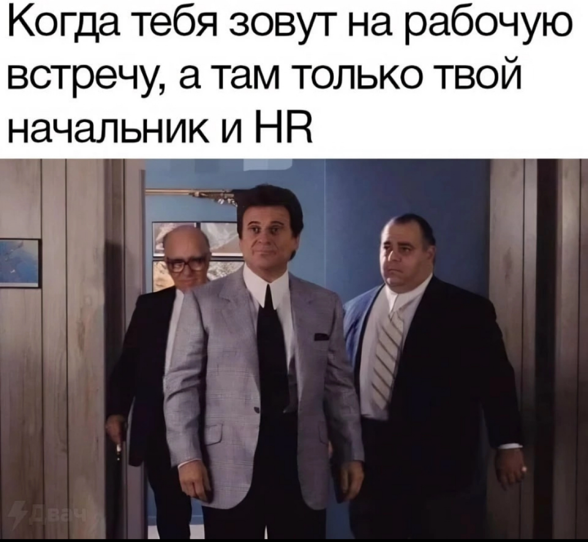 🚀🧨 | Сетка — социальная сеть от hh.ru