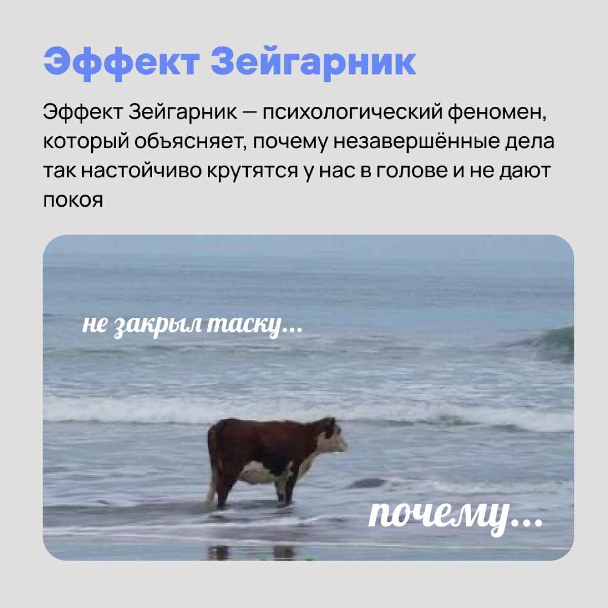 Гравитация, бессердечная ты …. И другие законы, которые не помогают, но больше пакостят нам в работе 🥸 | Сетка — социальная сеть от hh.ru