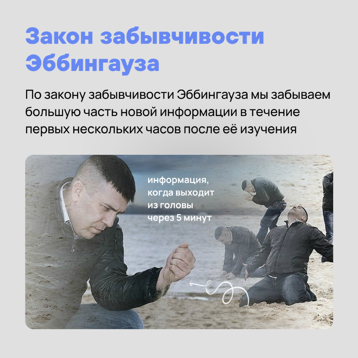 Гравитация, бессердечная ты …. И другие законы, которые не помогают, но больше пакостят нам в работе 🥸 | Сетка — социальная сеть от hh.ru