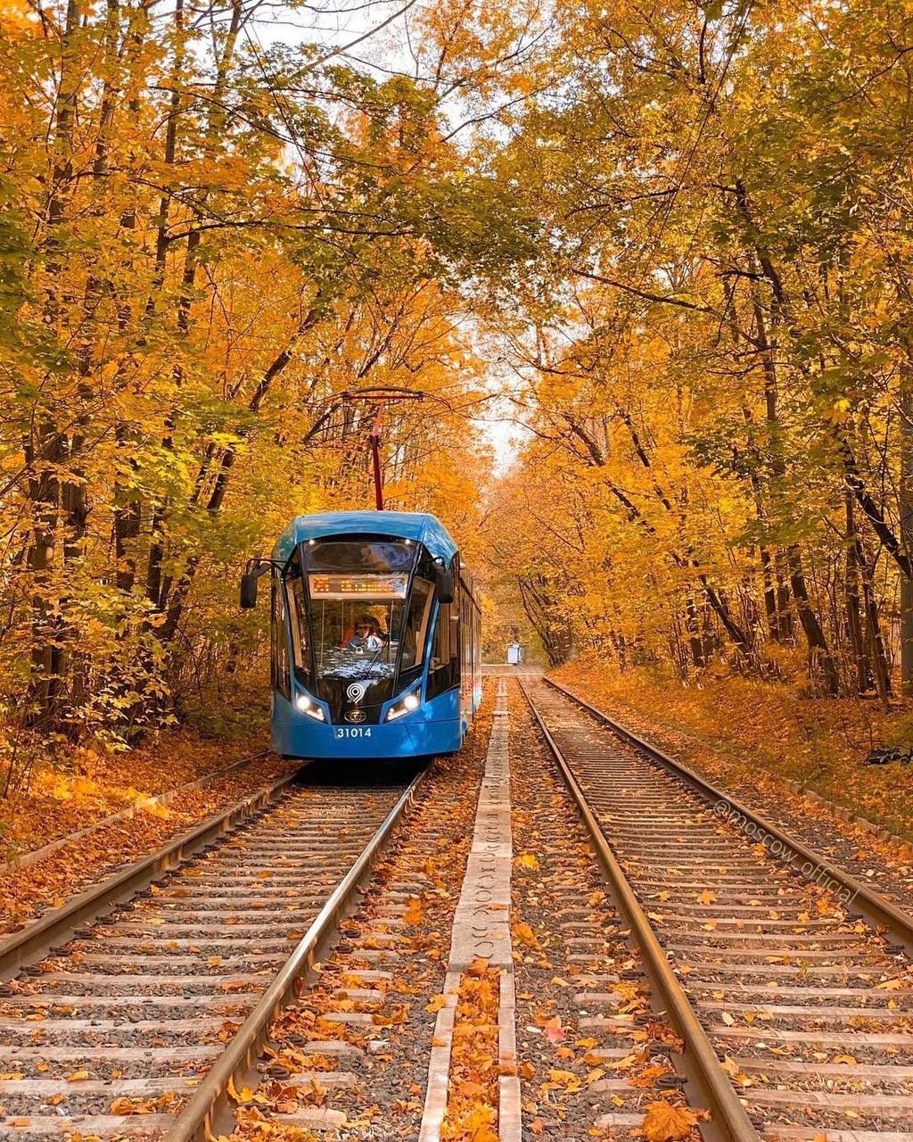 🌤️Тёплая погода вернётся в Москву в ближайшие выходные
Осень порадует москвичей после снегопадов, пик потепления придётсянасубботу и воскресенье
📲Подпишитесь на Вдвижении | Сетка — социальная сеть от hh.ru