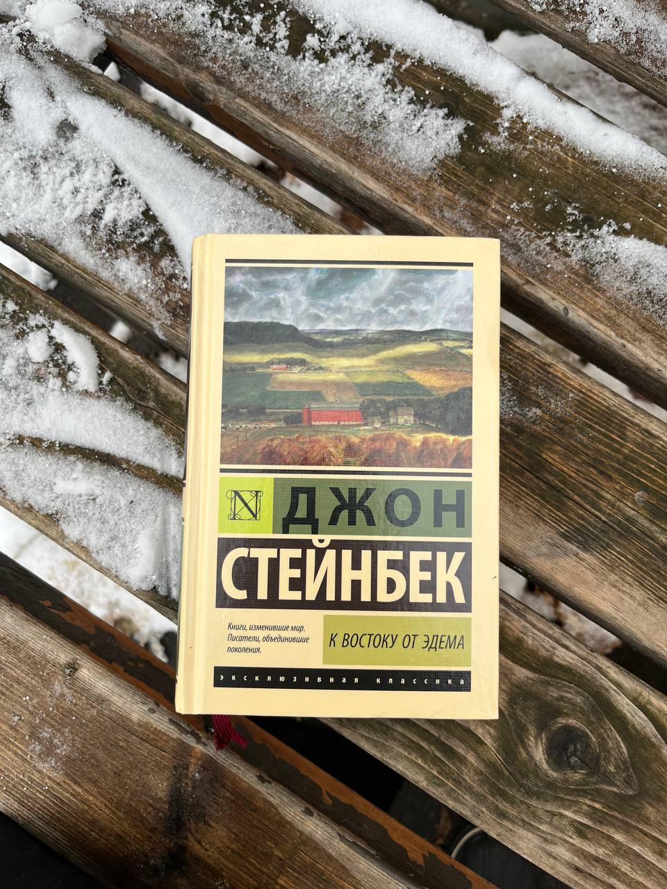 🤩 наступило время листьев в снегу и первых снеговиков - одного мы уже слепили, но быстро потеряли - он пал в неравной борьбе с вандалами🌟
а я начала «К востоку от Эдема» Стейнбека, прочитала всего нич... | Сетка — социальная сеть от hh.ru