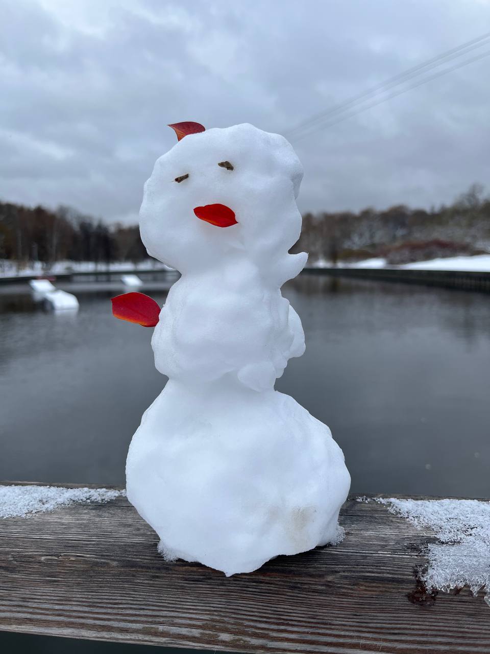 🤩 наступило время листьев в снегу и первых снеговиков - одного мы уже слепили, но быстро потеряли - он пал в неравной борьбе с вандалами🌟
а я начала «К востоку от Эдема» Стейнбека, прочитала всего нич... | Сетка — социальная сеть от hh.ru