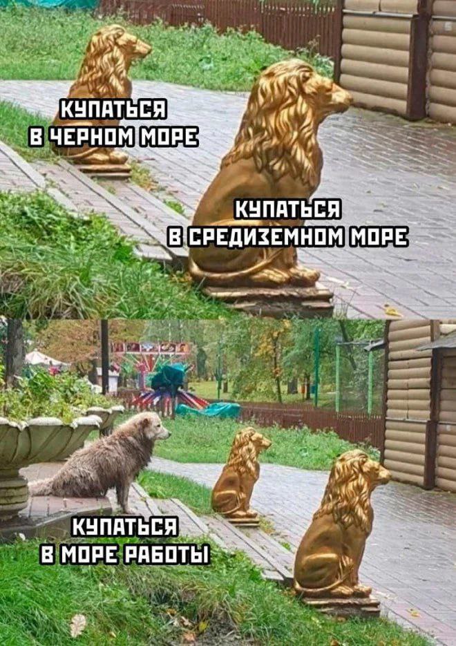 ➡️ отправь в телеге мем коллеге | Сетка — социальная сеть от hh.ru