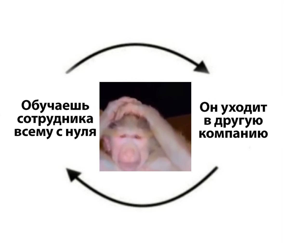 ➡️ отправь в телеге мем коллеге | Сетка — социальная сеть от hh.ru