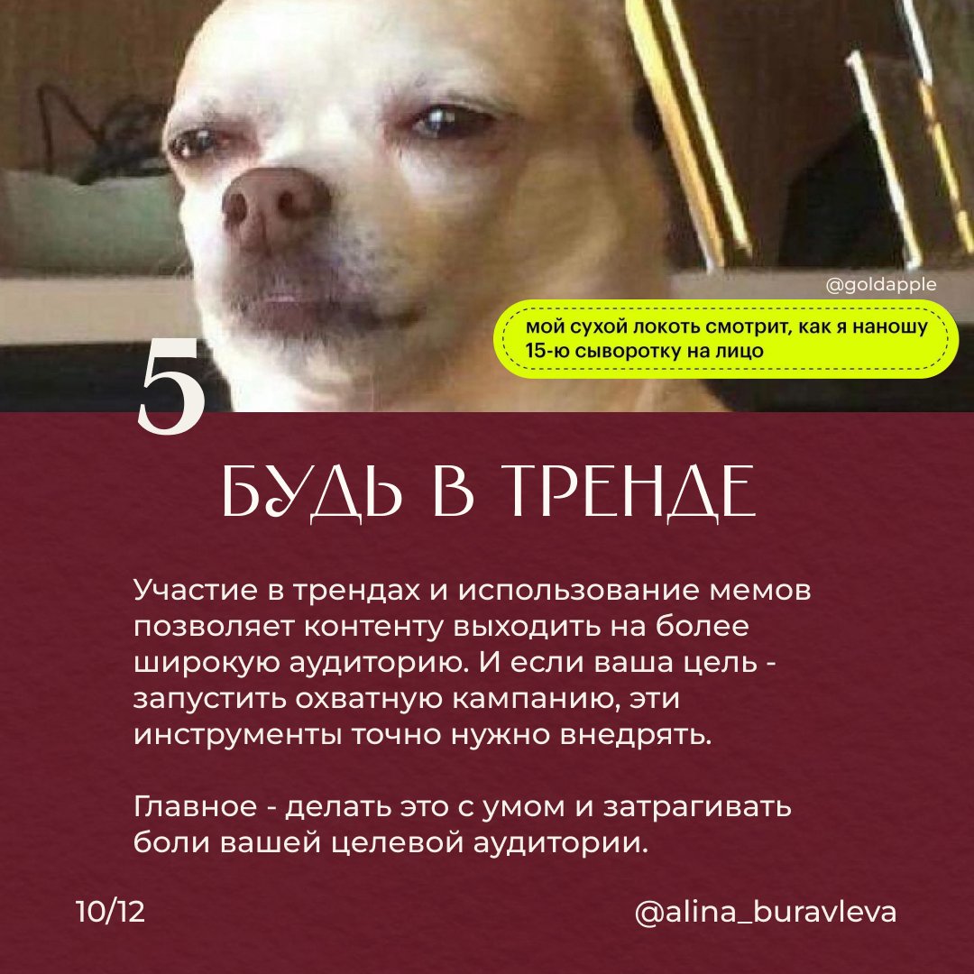 5 фишек Золотого яблока | Сетка — социальная сеть от hh.ru