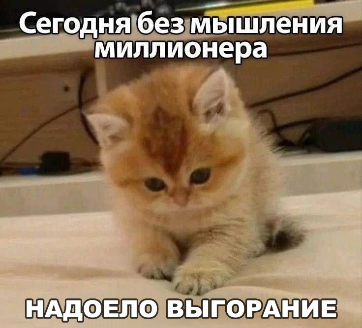 #мемы #выгорание | Сетка — социальная сеть от hh.ru