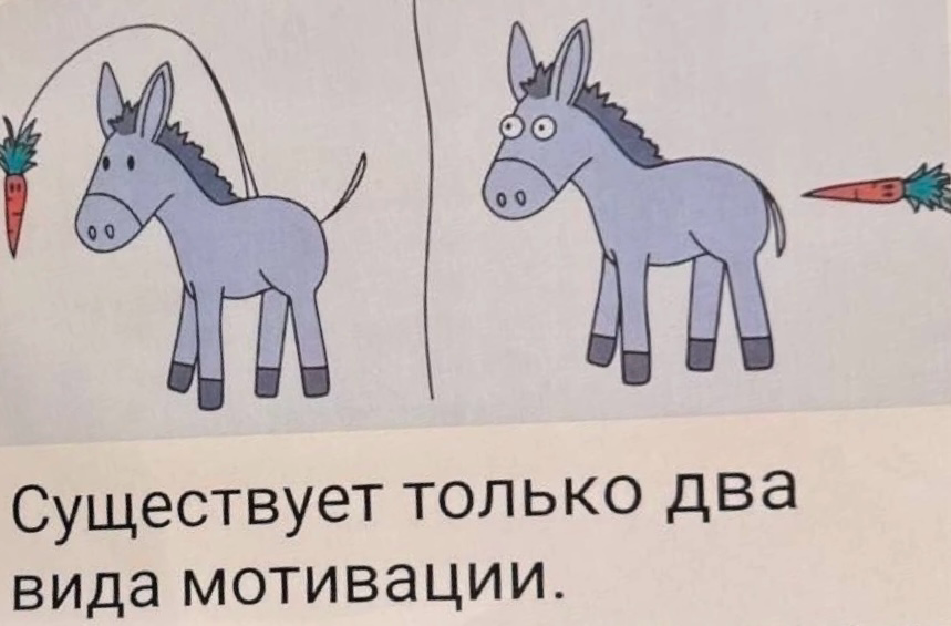 Помним о главном
:) | Сетка — социальная сеть от hh.ru