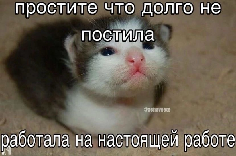 С первым рабочим днем недели🥳 | Сетка — социальная сеть от hh.ru