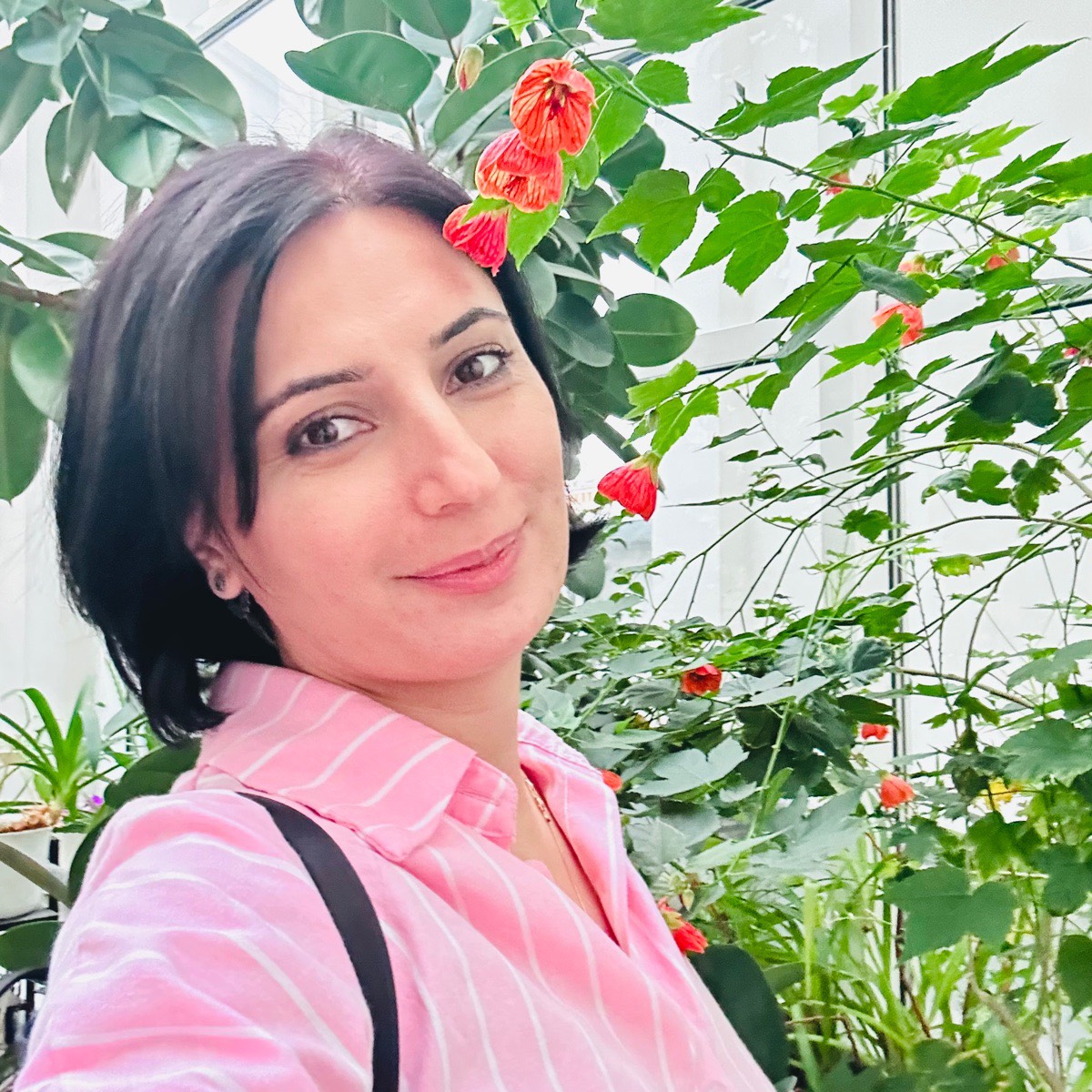 Гаяне Бабаян | Сетка — социальная сеть от hh.ru