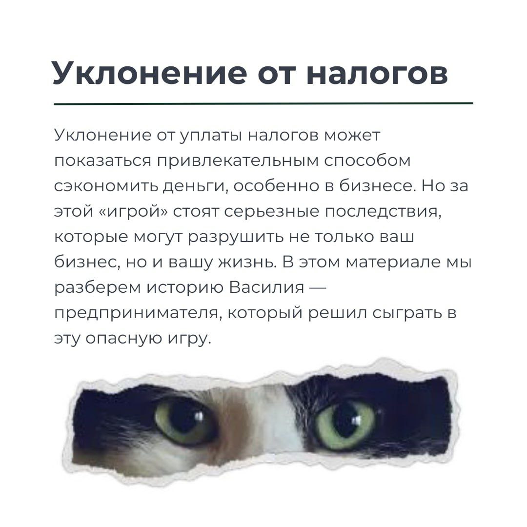 Уклонение от налогов: игра, в которую лучше не играть!
В новом лонгриде рассказываем историю Василия, который попытался обмануть налоговую | Сетка — социальная сеть от hh.ru