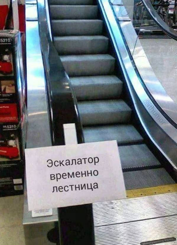 Не знаю, бывало ли такое у здесь присутствующих, но решилась поделиться
Всю жизнь я любила рисовать, лепить, шить, вязать, одним словом - создавать
И когда пришло время выбирать профессию, я посчитала... | Сетка — социальная сеть от hh.ru