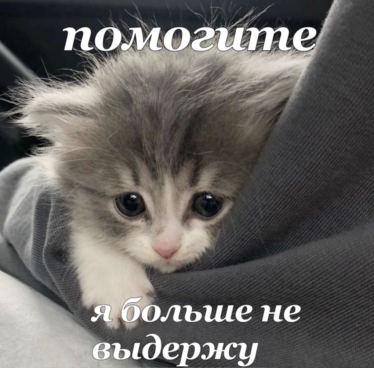 То самое чувство, когда пытаешься настроить фильтр в Р7 офис, а он выдает рандомные результаты…
Но настоящее веселье, когда фильтров уже более двух 😂 | Сетка — социальная сеть от hh.ru