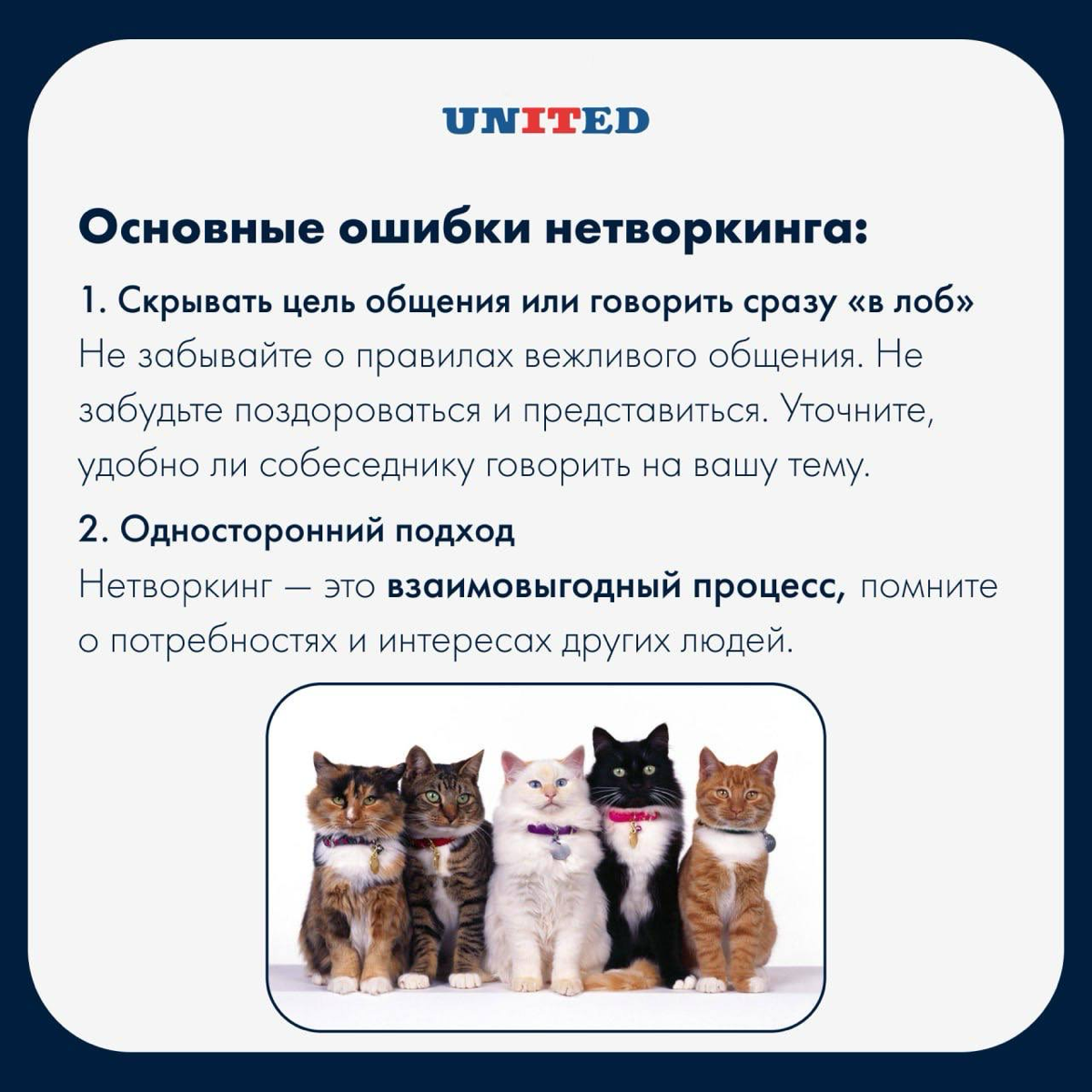 Нетворкинг в мире HR | Сетка — социальная сеть от hh.ru