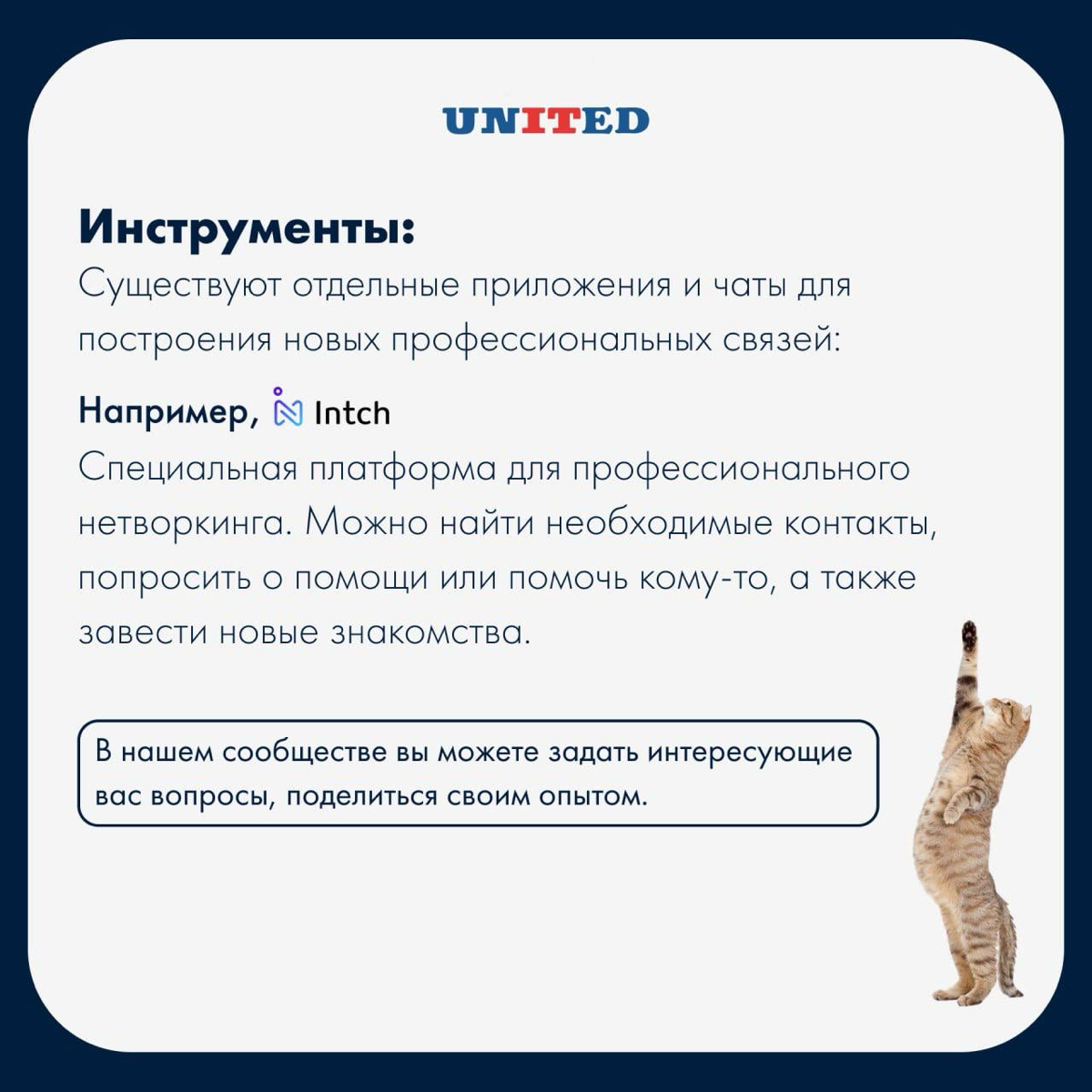 Нетворкинг в мире HR | Сетка — социальная сеть от hh.ru