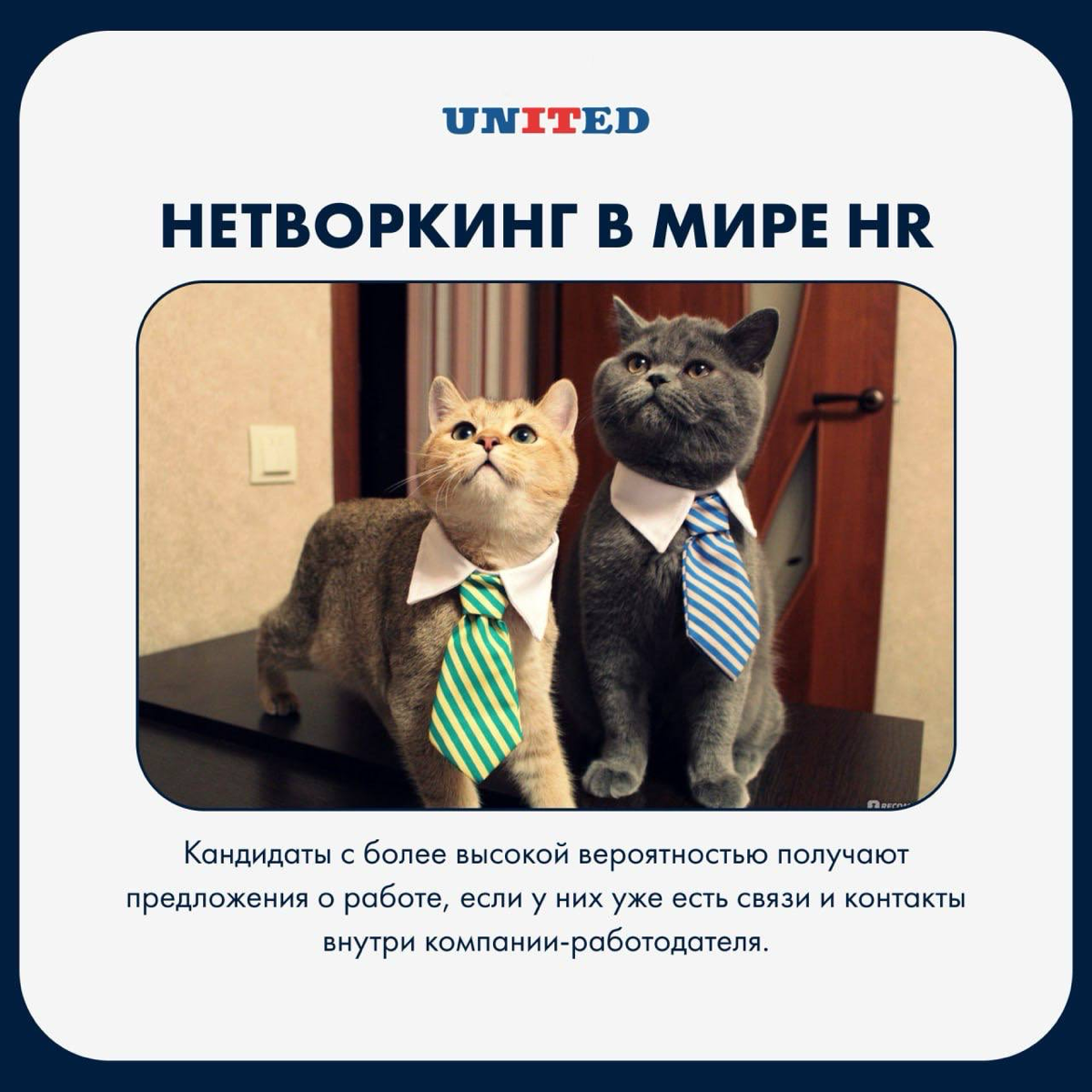 Нетворкинг в мире HR | Сетка — социальная сеть от hh.ru