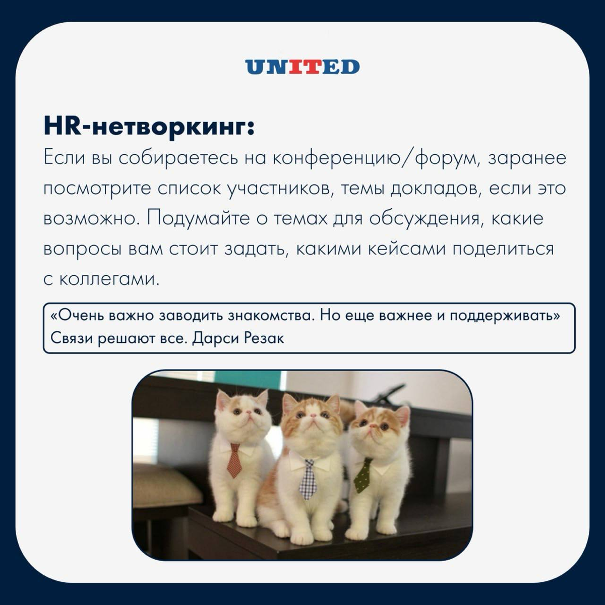 Нетворкинг в мире HR | Сетка — социальная сеть от hh.ru