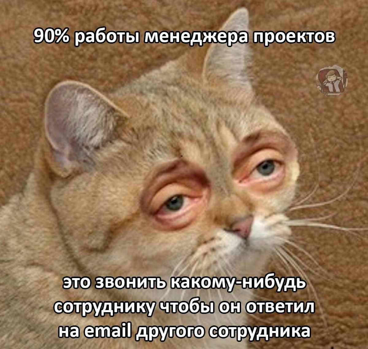 ‼️ Мне нужны проджекты | Сетка — социальная сеть от hh.ru