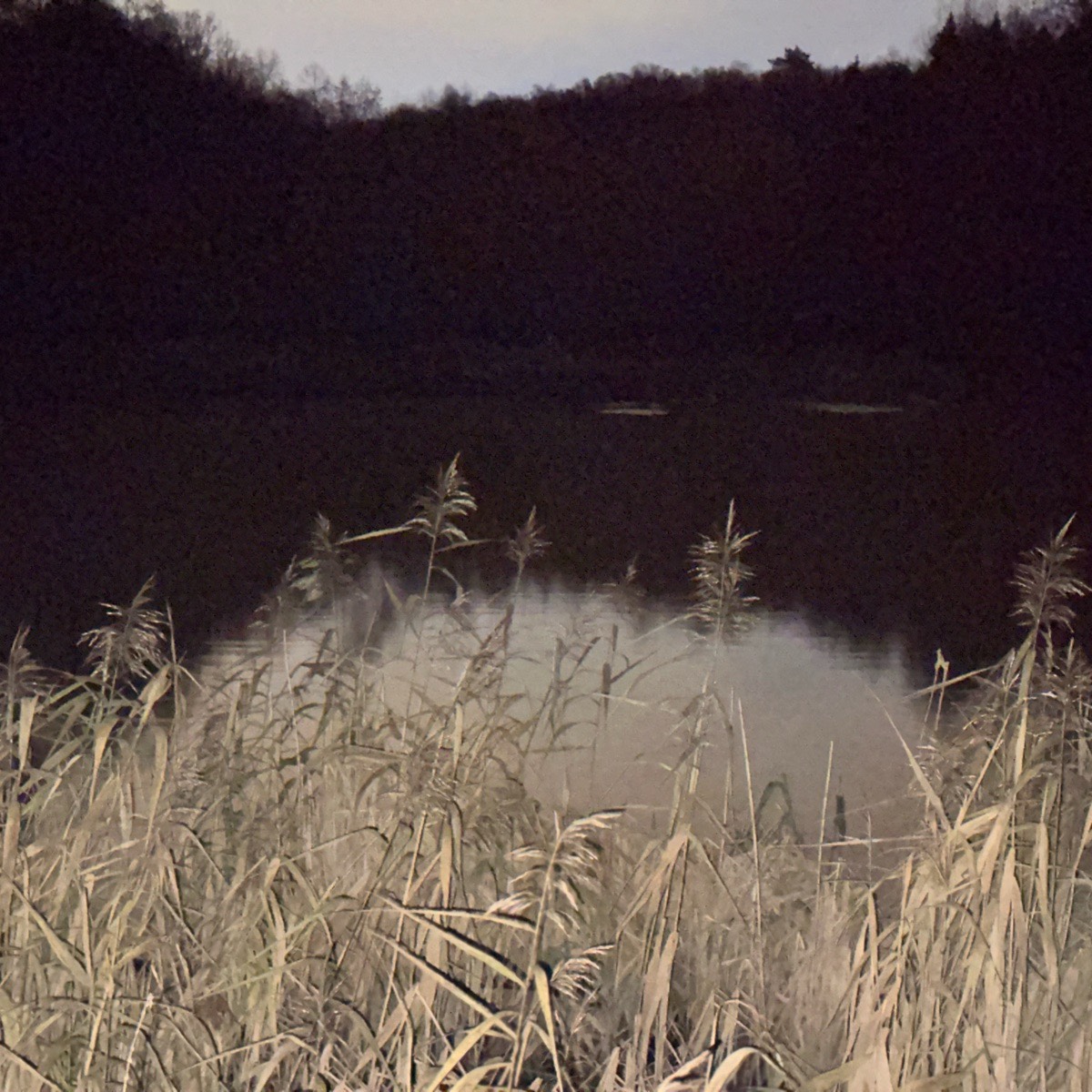 Руслан Мамаев | Сетка — социальная сеть от hh.ru