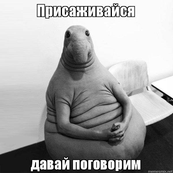 Марат Гайнутдинов | Сетка — социальная сеть от hh.ru