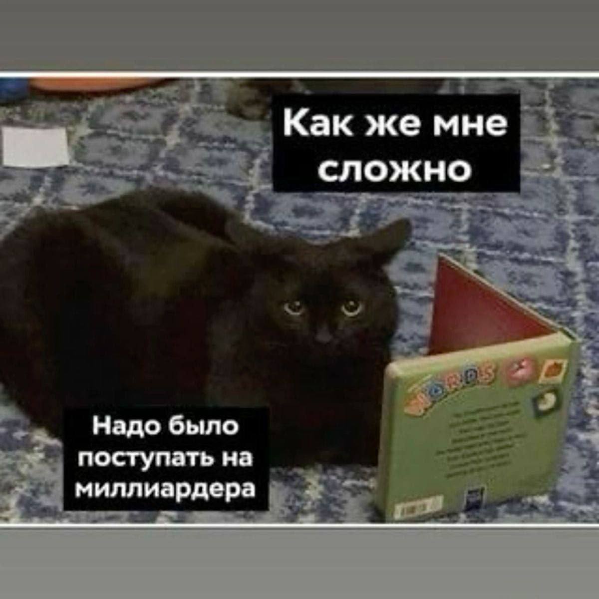 Я, каждый раз, когда не удается закрыть задачу за 20 минут. | Сетка — социальная сеть от hh.ru