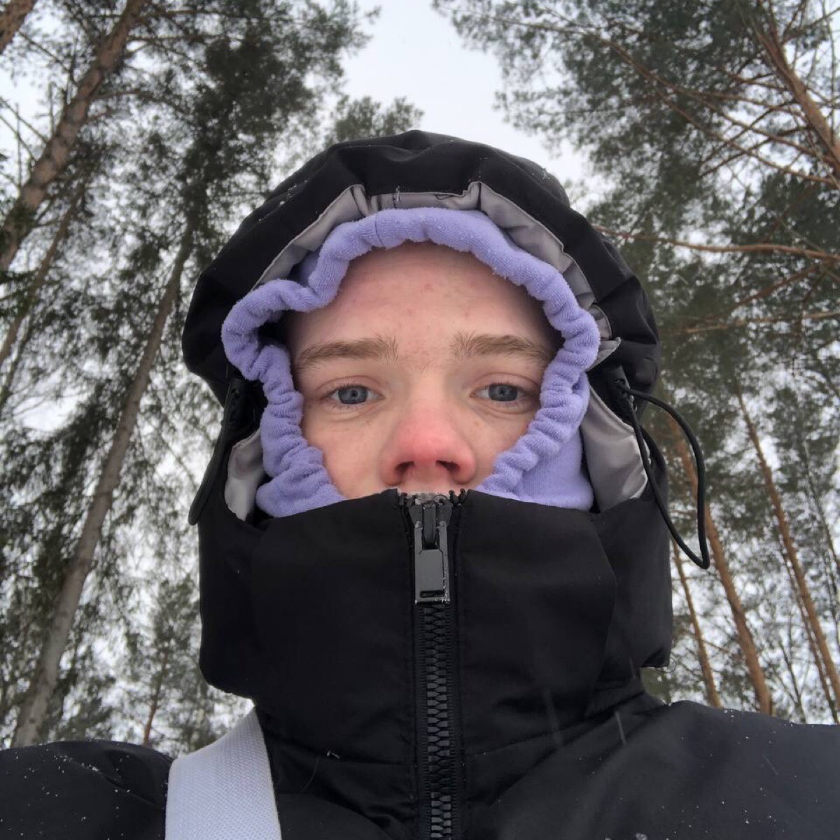 Николай Шипов