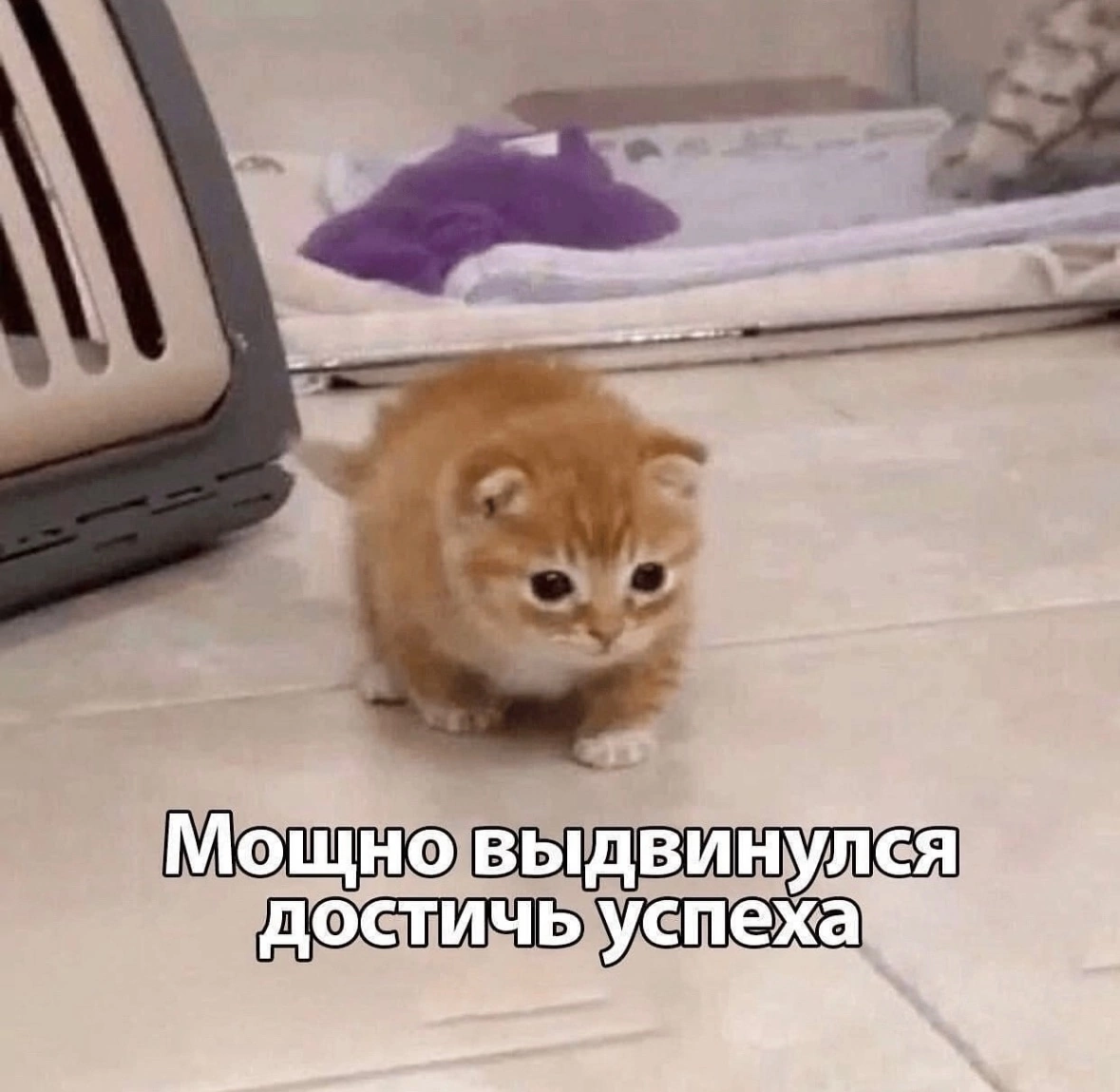 Добрый день 🤍
Ищу проект, в котором могу выступить в качестве редактора. Есть опыт работы с издательствами в качестве литературного редактора, помощника выпускающего редактора и корректора | Сетка — социальная сеть от hh.ru